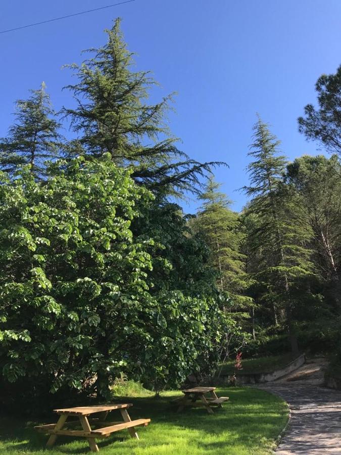 Els Avets De La Muga Bed & Breakfast Sant Llorenc de la Muga Bagian luar foto
