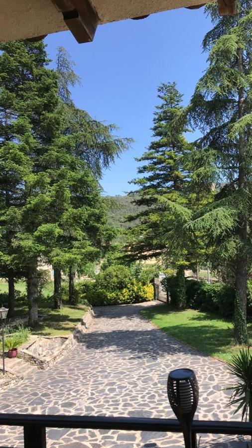 Els Avets De La Muga Bed & Breakfast Sant Llorenc de la Muga Bagian luar foto